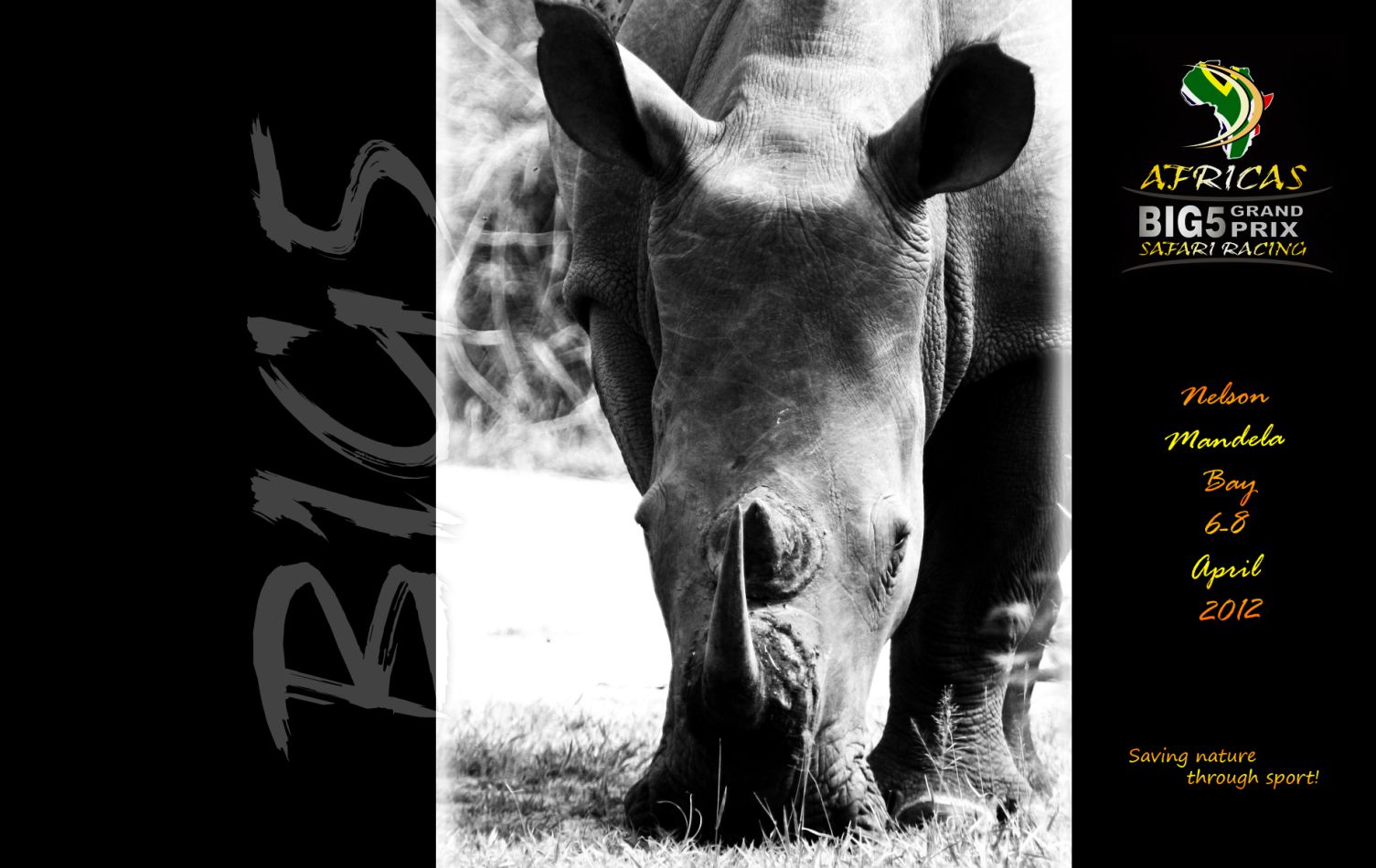 Africa's Big 5 Grand Prix — Rhino Wallpaper