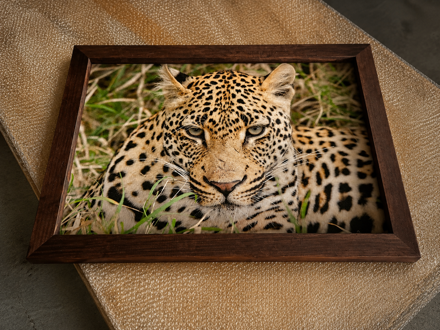 Leopard — Framed Canvas Print