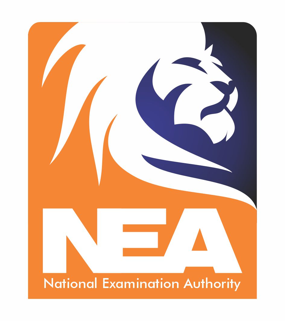 National Examination Authority